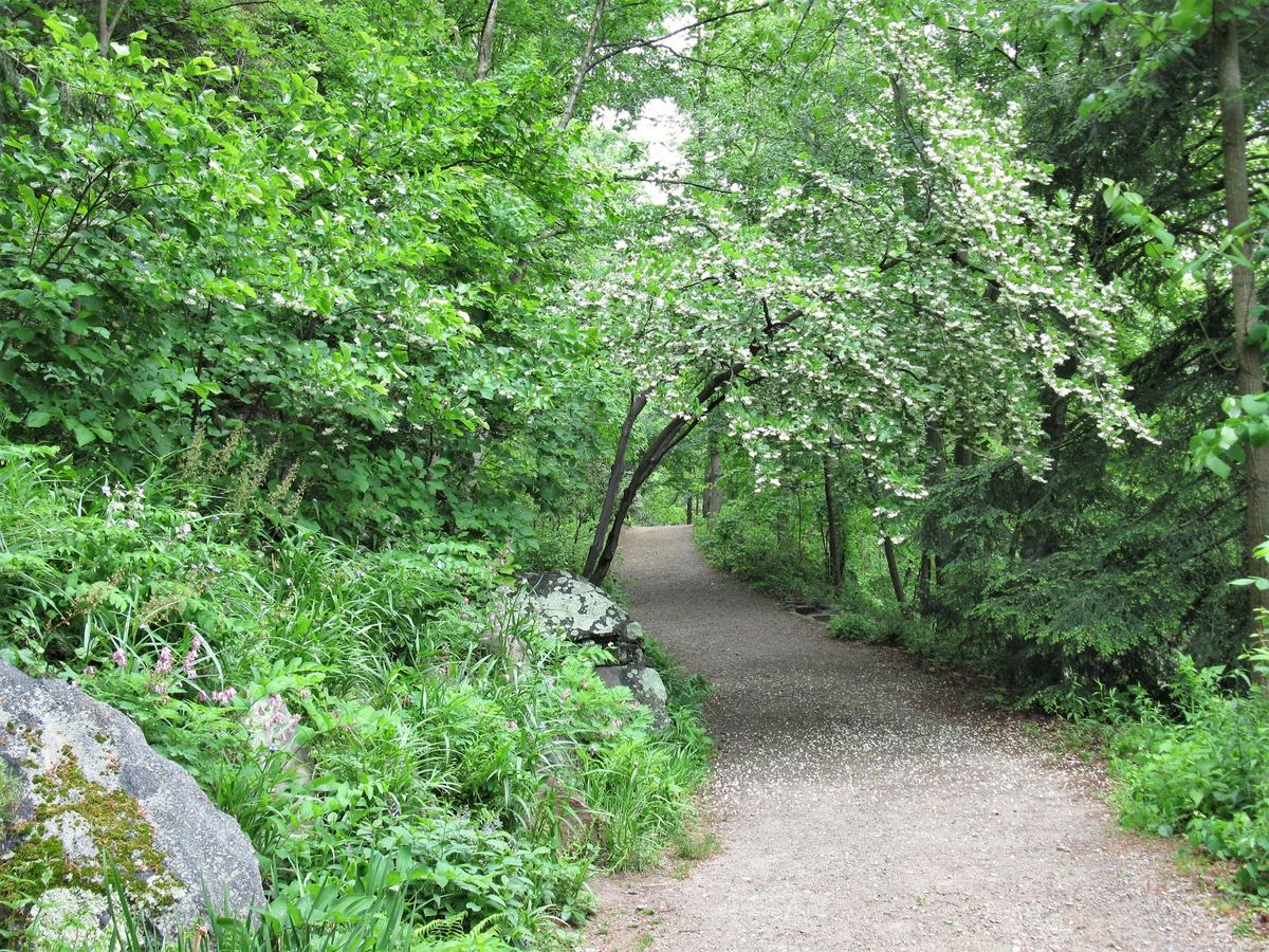 Botanical Gardens at Asheville
