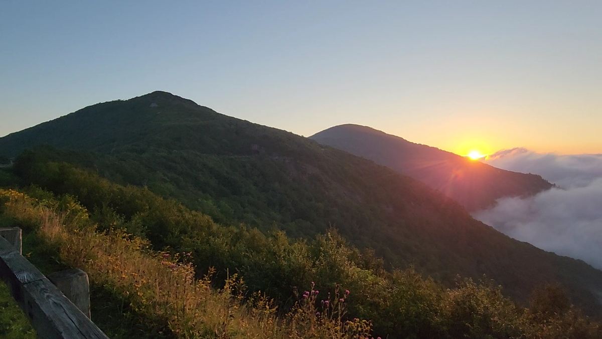 Craggy Gardens — photo 4