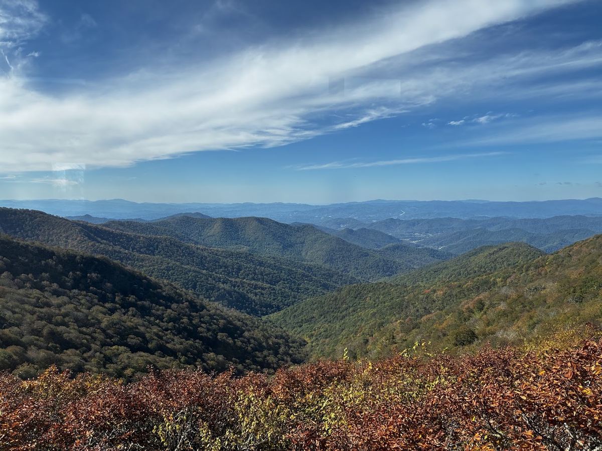 Craggy Gardens — photo 7