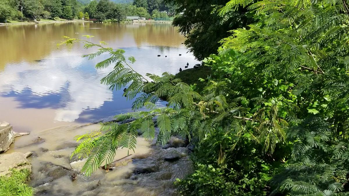 Lake Tomahawk — photo 4