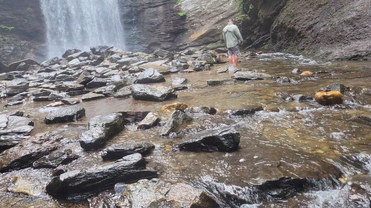 Looking Glass Falls — photo 4