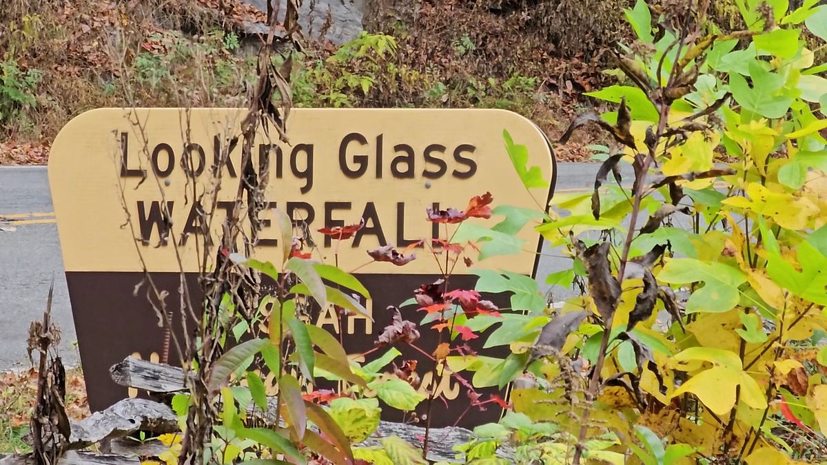 Looking Glass Falls — photo 6