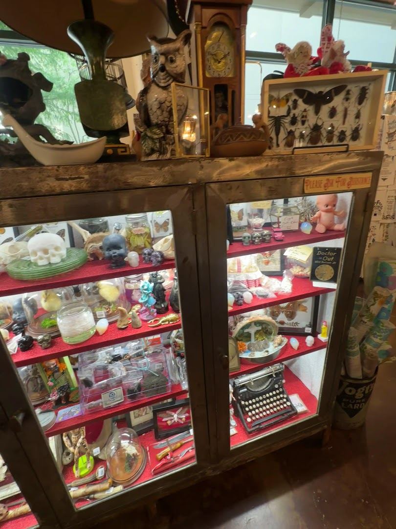 Madam Clutterbucket's Neurodiverse Universe — photo 4