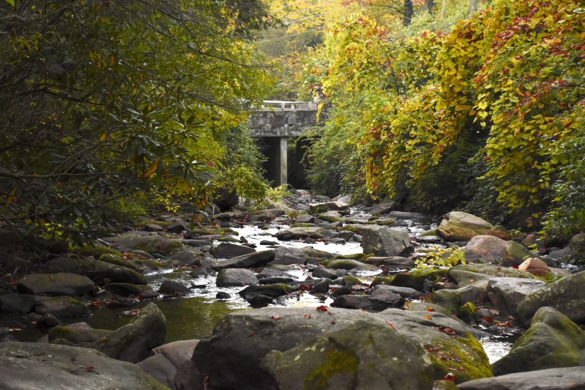 Montreat Wilderness Trails