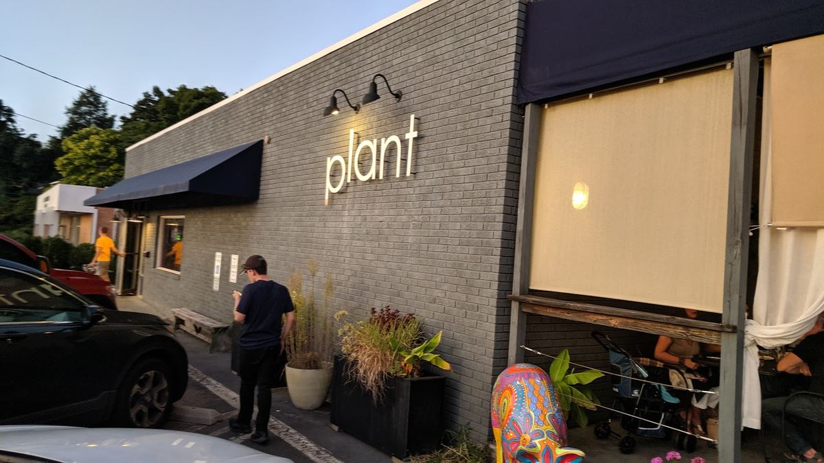 plant