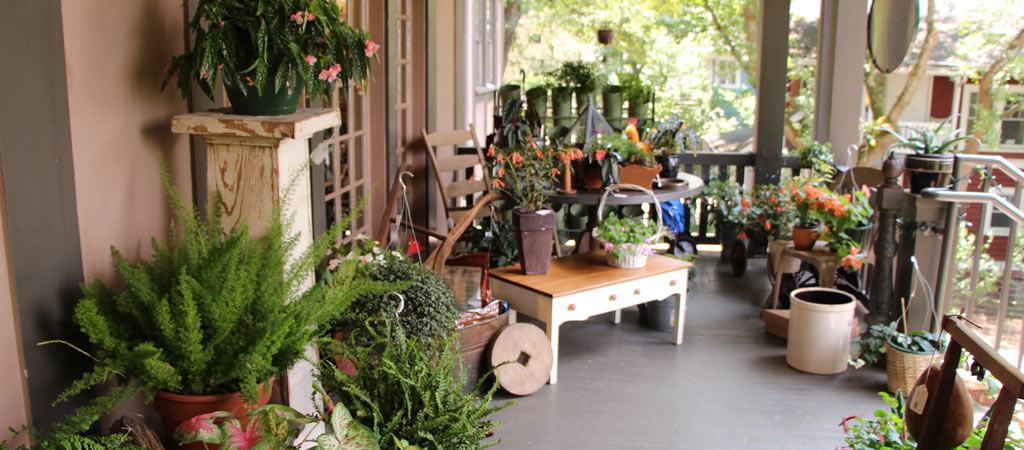 Rose's Garden Shop — photo 4