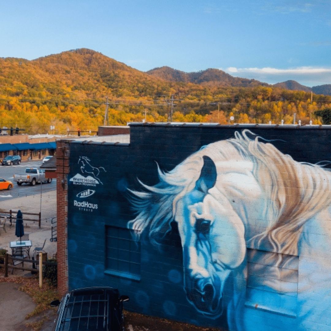 White Horse Black Mountain — photo 3
