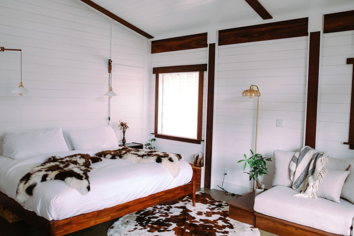 Dark City Solarium 3